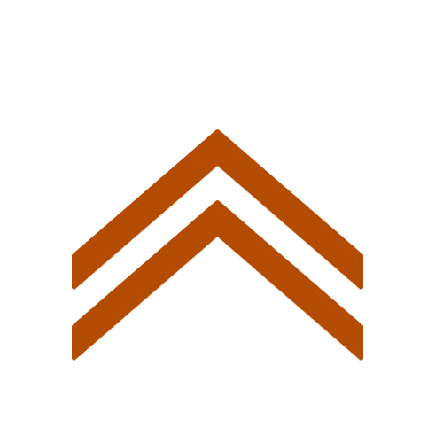 Arrows down animateed